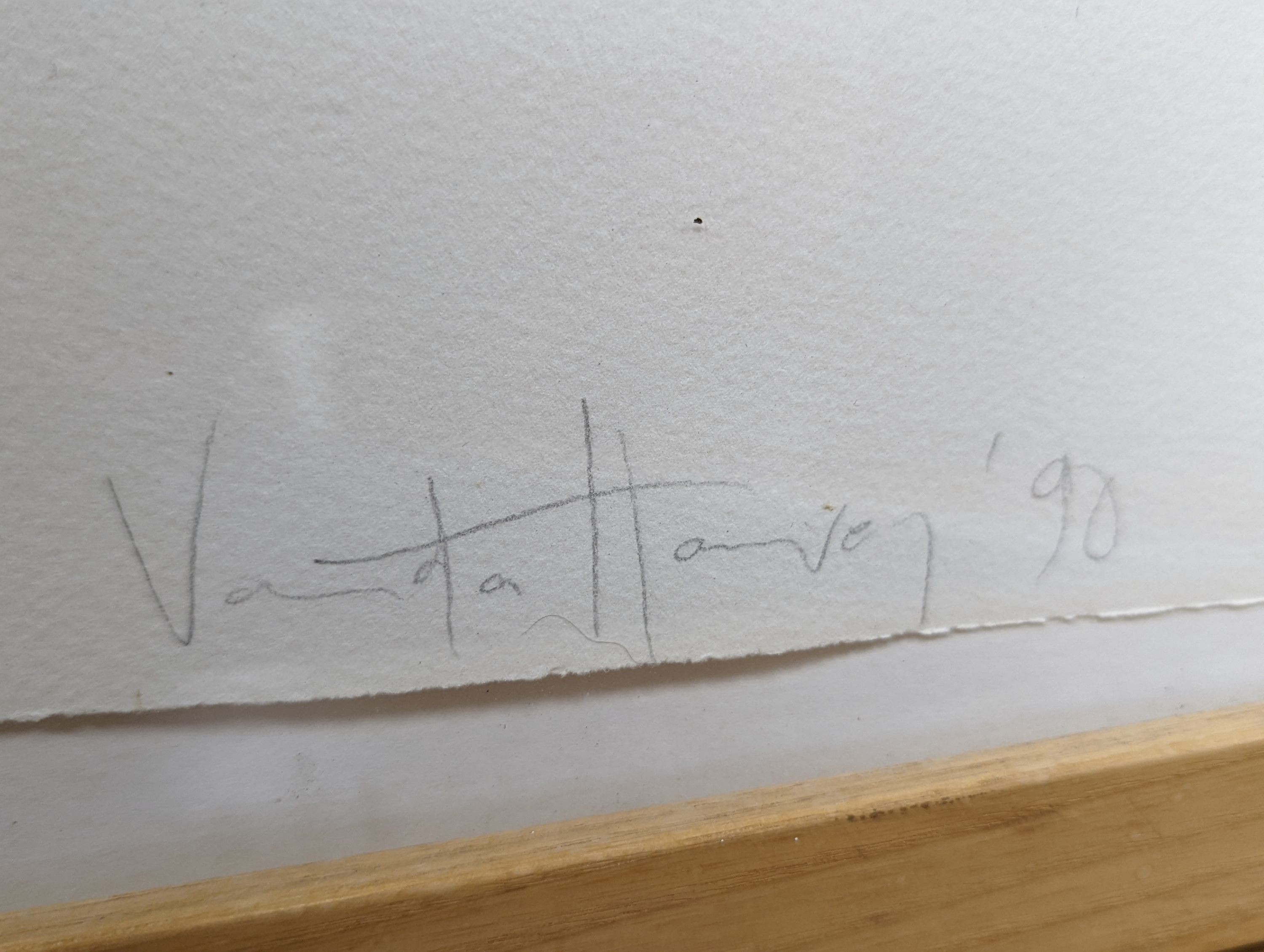 Vanda Harvey (1957-), artist proof print, 'Flame', signed in pencil and dated '90, 75 x 105cm